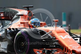 World © Octane Photographic Ltd. Formula 1 - Abu Dhabi Grand Prix - Friday Practice 1. Fernando Alonso - McLaren Honda MCL32. Yas Marina Circuit, Abu Dhabi. Friday 24th November 2017. Digital Ref: