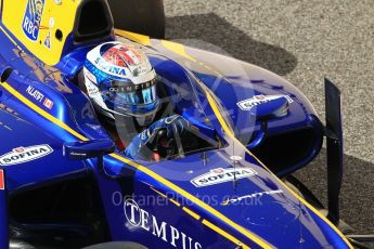 World © Octane Photographic Ltd. FIA Formula 2 (F2) - Practice. Nicolas Latifi – DAMS. Abu Dhabi Grand Prix, Yas Marina Circuit. 24th November 2017. Digital Ref:2000CB1L5636