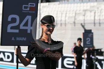 World © Octane Photographic Ltd. GP3 - Race 1. Arjun Maini – Jenzer Motorsport. Abu Dhabi Grand Prix, Yas Marina Circuit. Saturday 25th November 2017. Digital Ref: