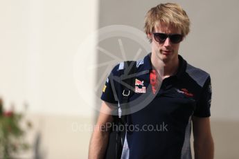 World © Octane Photographic Ltd. Formula 1 - Abu Dhabi Grand Prix - Friday Practice 1. Brendon Hartley - Scuderia Toro Rosso STR12. Yas Marina Circuit, Abu Dhabi. Friday 24th November 2017. Digital Ref:1998LB2D7763