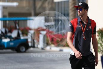 World © Octane Photographic Ltd. Formula 1 - British Grand Prix. Antonio Giovinazzi - Haas F1 Team VF-17 Reserve Driver. Yas Marina Circuit, Abu Dhabi. Friday 24th November 2017. Digital Ref:1998LB2D8055
