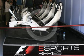 World © Octane Photographic Ltd. GP3 - Practice. F1 eSports series. Abu Dhabi Grand Prix, Yas Marina Circuit. Friday 24th November 2017. Digital Ref:1999LB5D9626