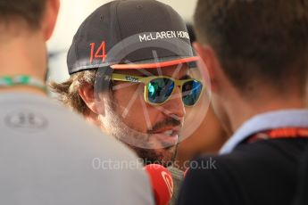 World © Octane Photographic Ltd. Formula 1 - Abu Dhabi Grand Prix - Thursday Setup. Fernando Alonso - McLaren Honda MCL32. Yas Marina Circuit, Abu Dhabi. Thursday 23rd November 2017. Digital Ref: 1996CB1L5314