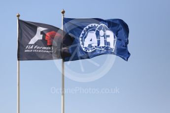 World © Octane Photographic Ltd. Formula 1 - Abu Dhabi Grand Prix - Thursday Setup. F1 and (backwards) FIA flag. Yas Marina Circuit, Abu Dhabi. Thursday 23rd November 2017. Digital Ref:1996CB5D9103