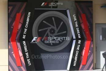 World © Octane Photographic Ltd. Formula 1 - Abu Dhabi Grand Prix - Thursday Setup. Formula One eSports series. Yas Marina Circuit, Abu Dhabi. Thursday 23rd November 2017. Digital Ref: 1996CB5D9304