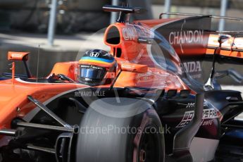 World © Octane Photographic Ltd. Formula 1 - American Grand Prix - Saturday - Practice 3. Fernando Alonso - McLaren Honda MCL32. Circuit of the Americas, Austin, Texas, USA. Saturday 21st October 2017. Digital Ref: 1990LB1D6106