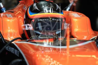 World © Octane Photographic Ltd. Formula 1 - American Grand Prix - Saturday - Practice 3. Fernando Alonso - McLaren Honda MCL32. Circuit of the Americas, Austin, Texas, USA. Saturday 21st October 2017. Digital Ref: 1990LB1D6133