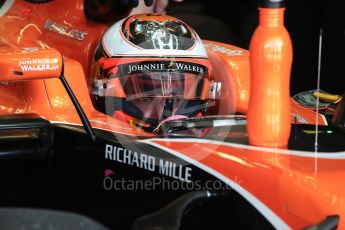 World © Octane Photographic Ltd. Formula 1 - American Grand Prix - Saturday - Practice 3. Fernando Alonso - McLaren Honda MCL32. Circuit of the Americas, Austin, Texas, USA. Saturday 21st October 2017. Digital Ref: 1990LB1D6168