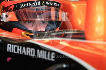 World © Octane Photographic Ltd. Formula 1 - American Grand Prix - Saturday - Practice 3. Stoffel Vandoorne - McLaren Honda MCL32. Circuit of the Americas, Austin, Texas, USA. Saturday 21st October 2017. Digital Ref: 1990LB1D6184