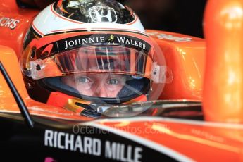 World © Octane Photographic Ltd. Formula 1 - American Grand Prix - Saturday - Practice 3. Stoffel Vandoorne - McLaren Honda MCL32. Circuit of the Americas, Austin, Texas, USA. Saturday 21st October 2017. Digital Ref: 1990LB1D6194