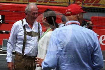 World © Octane Photographic Ltd. Formula 1 - Austria Grand Prix - Sunday - Grid. Helmut Marko - Red Bull Advisor. Red Bull Ring, Spielberg, Austria. Sunday 9th July 2017. Digital Ref: 1874LB2D6687