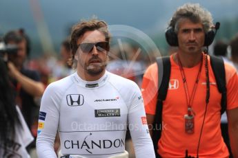 World © Octane Photographic Ltd. Formula 1 - Belgian Grand Prix - Grid. Fernando Alonso - McLaren Honda MCL32. Circuit de Francorchamps, Belgium. Sunday 27th August 2017. Digital Ref: 1932LB1D8338