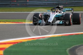World © Octane Photographic Ltd. Formula 1 - Belgian Grand Prix - Friday - Practice 1. Lewis Hamilton - Mercedes AMG Petronas F1 W08 EQ Energy+ with Halo. Circuit de Spa Francorchamps, Belgium. Friday 25th August 2017. Digital Ref:1922LB1D4836