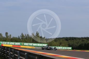 World © Octane Photographic Ltd. Formula 1 - Belgian Grand Prix - Friday - Practice 1. Lewis Hamilton - Mercedes AMG Petronas F1 W08 EQ Energy+. Circuit de Spa Francorchamps, Belgium. Friday 25th August 2017. Digital Ref:1922LB2D5776