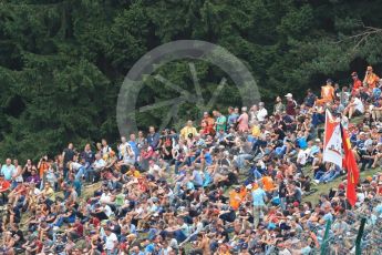 World © Octane Photographic Ltd. Formula 1 - Belgian Grand Prix - Friday - Practice 2. Fans on the grass banking. Circuit de Spa Francorchamps, Belgium. Friday 25th August 2017. Digital Ref: 1924LB1D5839