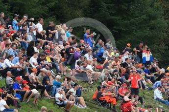World © Octane Photographic Ltd. Formula 1 - Belgian Grand Prix - Friday - Practice 2. Fans on the grass banking. Circuit de Spa Francorchamps, Belgium. Friday 25th August 2017. Digital Ref: 1924LB1D5889