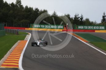 World © Octane Photographic Ltd. Formula 1 - Belgian Grand Prix - Friday - Practice 2. Lewis Hamilton - Mercedes AMG Petronas F1 W08 EQ Energy+. Circuit de Spa Francorchamps, Belgium. Friday 25th August 2017. Digital Ref: 1924LB2D6055