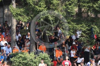 World © Octane Photographic Ltd. Formula 1 - Belgian Grand Prix - Race. Max Verstappen fans in the trees. Circuit de Spa Francorchamps, Belgium. Sunday 27th August 2017. Digital Ref:1933LB1D9000