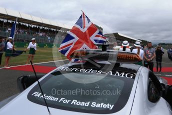 World © Octane Photographic Ltd. Formula 1 - British Grand Prix - Sunday - Grid. Silverstone, UK. Sunday 16th July 2017. Digital Ref: 1891LB2D9820