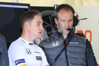 World © Octane Photographic Ltd. Formula 1 - British Grand Prix - Saturday - Practice 3. Stoffel Vandoorne - McLaren Honda MCL32. Silverstone, UK. Saturday 15th July 2017. Digital Ref: 1885LB1D0390
