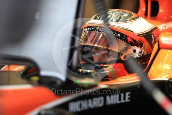 World © Octane Photographic Ltd. Formula 1 - British Grand Prix - Saturday - Practice 3. Stoffel Vandoorne - McLaren Honda MCL32. Silverstone, UK. Saturday 15th July 2017. Digital Ref: 1885LB1D0691