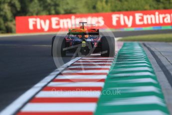 World © Octane Photographic Ltd. Formula 1 - Hungarian Grand Prix Practice 1. Daniel Ricciardo - Red Bull Racing RB13. Hungaroring, Budapest, Hungary. Friday 28th July 2017. Digital Ref: