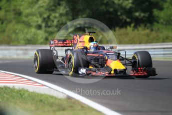 World © Octane Photographic Ltd. Formula 1 - Hungarian Grand Prix Practice 1. Daniel Ricciardo - Red Bull Racing RB13. Hungaroring, Budapest, Hungary. Friday 28th July 2017. Digital Ref: