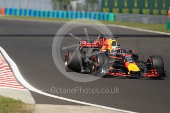World © Octane Photographic Ltd. Formula 1 - Hungarian Grand Prix Practice 1. Daniel Ricciardo - Red Bull Racing RB13. Hungaroring, Budapest, Hungary. Friday 28th July 2017. Digital Ref:1899CB1L9165