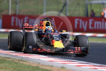 World © Octane Photographic Ltd. Formula 1 - Hungarian Grand Prix Practice 1. Daniel Ricciardo - Red Bull Racing RB13. Hungaroring, Budapest, Hungary. Friday 28th July 2017. Digital Ref:1899LB1D6607