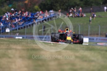 World © Octane Photographic Ltd. Formula 1 - Hungarian Grand Prix Practice 1. Daniel Ricciardo - Red Bull Racing RB13. Hungaroring, Budapest, Hungary. Friday 28th July 2017. Digital Ref:1899LB1D7102