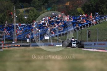 World © Octane Photographic Ltd. Formula 1 - Hungarian Grand Prix Practice 1. Antonio Giovinazzi - Haas F1 Team VF-17. Hungaroring, Budapest, Hungary. Friday 28th July 2017. Digital Ref:1899LB1D7221