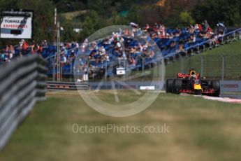 World © Octane Photographic Ltd. Formula 1 - Hungarian Grand Prix Practice 1. Daniel Ricciardo - Red Bull Racing RB13. Hungaroring, Budapest, Hungary. Friday 28th July 2017. Digital Ref:1899LB1D7361