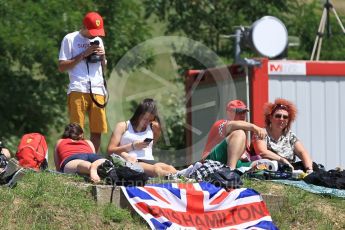 World © Octane Photographic Ltd. Formula 1 - Hungarian Grand Prix Practice 2. Fans ready for the session to start. Hungaroring, Budapest, Hungary. Friday 28th July 2017. Digital Ref:1901CB1L9338