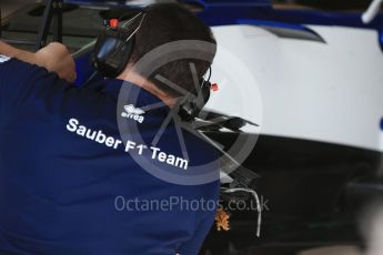 World © Octane Photographic Ltd. Formula 1 - Hungarian Grand Prix Practice 2. Pascal Wehrlein – Sauber F1 Team C36. Hungaroring, Budapest, Hungary. Friday 28th July 2017. Digital Ref:1901CB2D1401