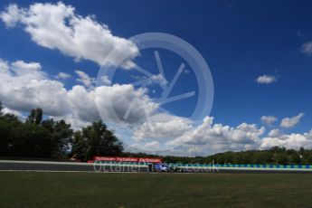 World © Octane Photographic Ltd. Formula 1 - Hungarian Grand Prix Practice 2. Pascal Wehrlein – Sauber F1 Team C36. Hungaroring, Budapest, Hungary. Friday 28th July 2017. Digital Ref:1901LB1D8131