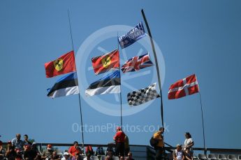 World © Octane Photographic Ltd. Formula 1 - Hungarian Grand Prix Practice 3. Fans flags. Hungaroring, Budapest, Hungary. Saturday 29th July 2017. Digital Ref: