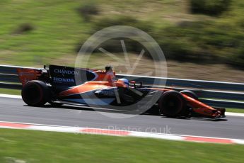 World © Octane Photographic Ltd. Formula 1 - Hungarian Grand Prix Practice 3. Fernando Alonso - McLaren Honda MCL32. Hungaroring, Budapest, Hungary. Saturday 29th July 2017. Digital Ref:1908CB2D1808