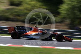 World © Octane Photographic Ltd. Formula 1 - Hungarian Grand Prix Practice 3. Stoffel Vandoorne - McLaren Honda MCL32. Hungaroring, Budapest, Hungary. Saturday 29th July 2017. Digital Ref:1908CB2D1816