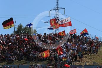 World © Octane Photographic Ltd. Formula 1 - Budapest Grand Prix - Saturday - Qualifying. Fans. Hungaroring, Budapest, Hungary. Saturday 29th July 2017. Digital Ref: 1908LB1D0130