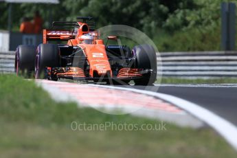 World © Octane Photographic Ltd. Formula 1 - Hungarian in-season testing. Stoffel Vandoorne - McLaren Honda MCL32. Hungaroring, Budapest, Hungary. Tuesday 1st August 2017. Digital Ref:1916CB1L2869