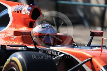World © Octane Photographic Ltd. Formula 1 - Hungarian in-season testing. Stoffel Vandoorne - McLaren Honda MCL32. Hungaroring, Budapest, Hungary. Tuesday 1st August 2017. Digital Ref:1916LB1D2392