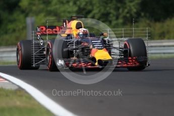 World © Octane Photographic Ltd. Formula 1 - Hungarian in-season testing. Pierre Gasly - Red Bull Racing RB13. Hungaroring, Budapest, Hungary. Wednesday 2nd August 2017. Digital Ref: