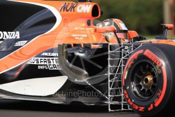 World © Octane Photographic Ltd. Formula 1 - Hungarian in-season testing. Lando Norris - McLaren Honda MCL32. Hungaroring, Budapest, Hungary. Wednesday 2nd August 2017. Digital Ref: