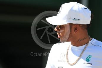 World © Octane Photographic Ltd. Formula 1 - Hungarian Grand Prix Paddock. Lewis Hamilton - Mercedes AMG Petronas F1 W08 EQ Energy+. Hungaroring, Budapest, Hungary. Saturday 29th July 2017. Digital Ref:1906LB1D8893