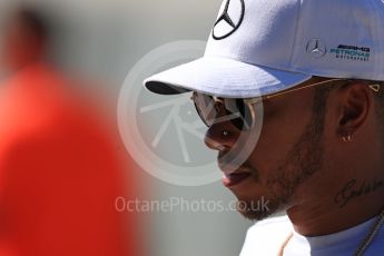 World © Octane Photographic Ltd. Formula 1 - Hungarian Grand Prix Paddock. Lewis Hamilton - Mercedes AMG Petronas F1 W08 EQ Energy+. Hungaroring, Budapest, Hungary. Saturday 29th July 2017. Digital Ref:1906LB1D8899