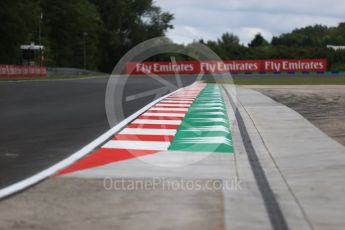 World © Octane Photographic Ltd. Revised turn 4 kurbs. Hungaroring, Budapest, Hungary. Thursday 27th July 2017. Digital Ref:1895CB2D0322