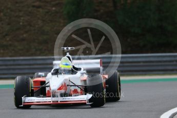 World © Octane Photographic Ltd. F1 Experiences 2 seater at turn 2. Hungaroring, Budapest, Hungary. Thursday 27th July 2017. Digital Ref:1895CB7D7890