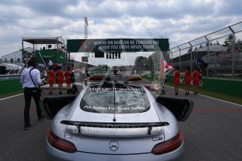 World © Octane Photographic Ltd. Formula 1 - Canadian Grand Prix. The grid. Circuit Gilles Villeneuve, Montreal, Canada. Sunday 11th June 2017. Digital Ref: 1856LB2D3358