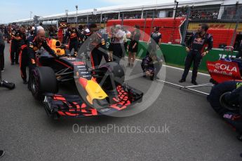 World © Octane Photographic Ltd. Formula 1 - Canadian Grand Prix - Sunday Drivers Parade & Grid. Daniel Ricciardo - Red Bull Racing RB13. Circuit Gilles Villeneuve, Montreal, Canada. Sunday 11th June 2017. Digital Ref: 1856LB2D3451