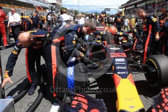 World © Octane Photographic Ltd. Formula 1 - Spanish Grand Prix Grid. Max Verstappen - Red Bull Racing RB13. Circuit de Barcelona - Catalunya, Spain. Sunday 14th May 2017. Digital Ref:1824LB2D8785
